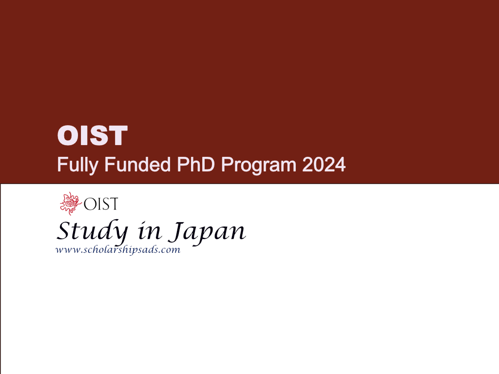 phd program in japan